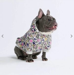 Spark Paws Flower Hoodie NWT - SIZE XL